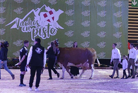Concours Jeunes meneurs