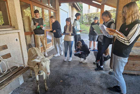 Concours de pointage 