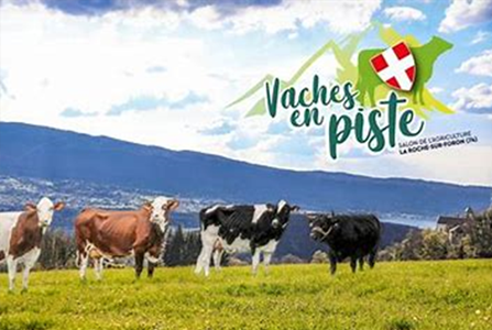 Concours Vache en Piste